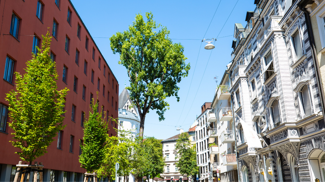 Immobilienverkauf in München-Lehel mit RÖTHIG & RÖTHIG Immobilien